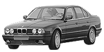 BMW E34 P201E Fault Code